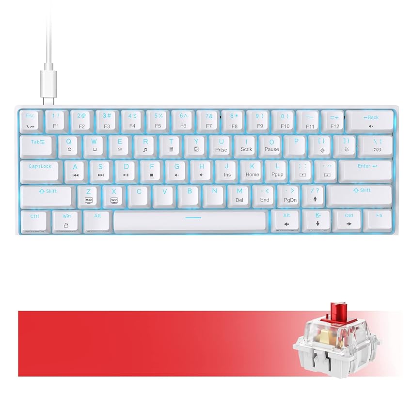 Immagine del prodotto Dierya DK61se Tastiera da Gioco Meccanica al 60% , Retroilluminazione Blu Ghiaccio,Type-C 61 Tasti (Layout US,QWERTY)Bianco