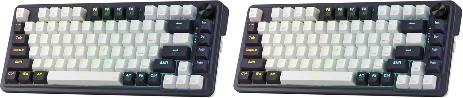 81 Keys + No LCD Screen (Pack of 2)