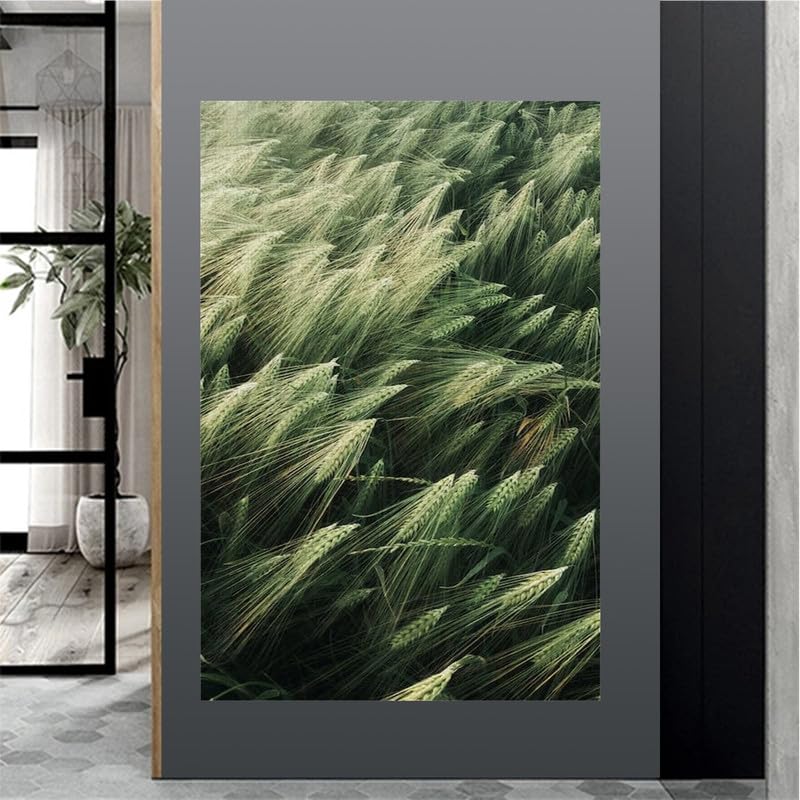 Rompecabezas de madera de 500 piezas Trigo Verde para decoración moderna 4