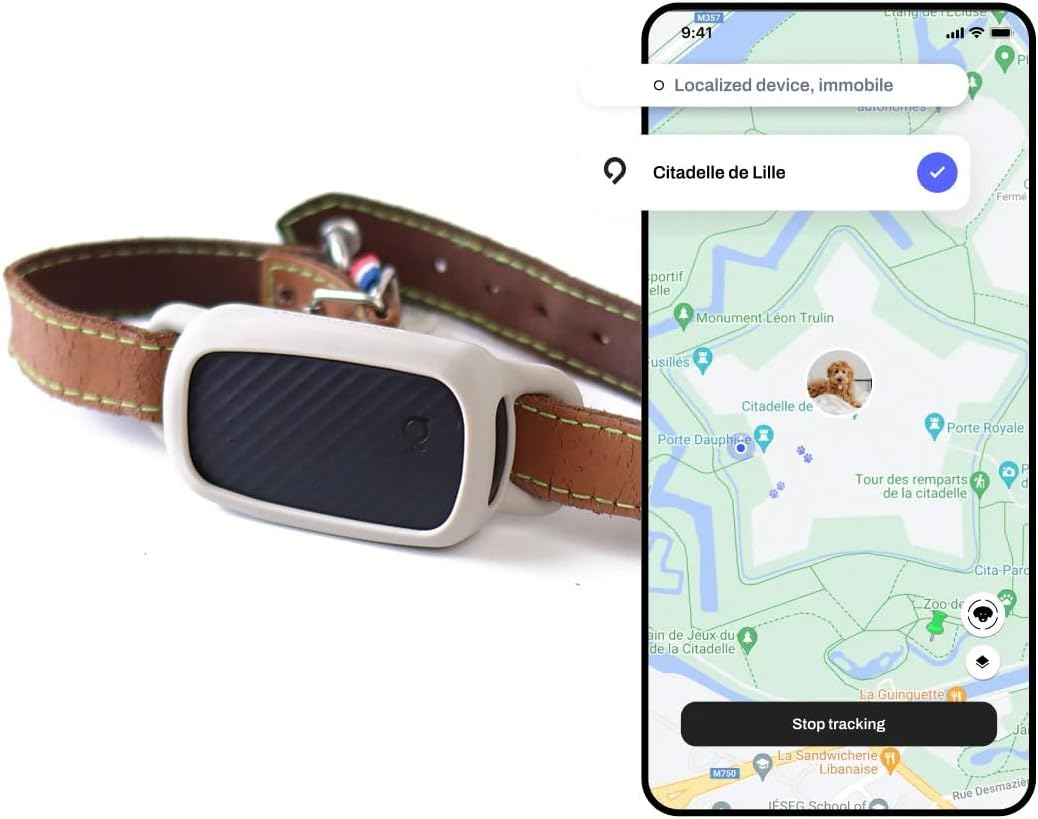 Jagger Lewis JAG GPS S2