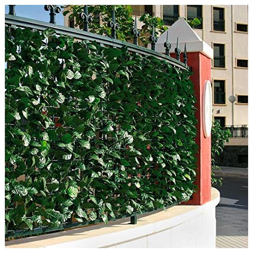 Catral 43020012 Seto Artificial Hedra, Verde, 300 x 3 x 100 cm