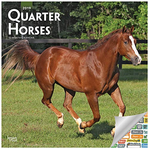 Quarter Horse Calendar 2019 Set - Deluxe 2019 Horses Wall Calendar with Over 100 Calendar Stickers (Quarter Horses Gifts, Office Supplies)