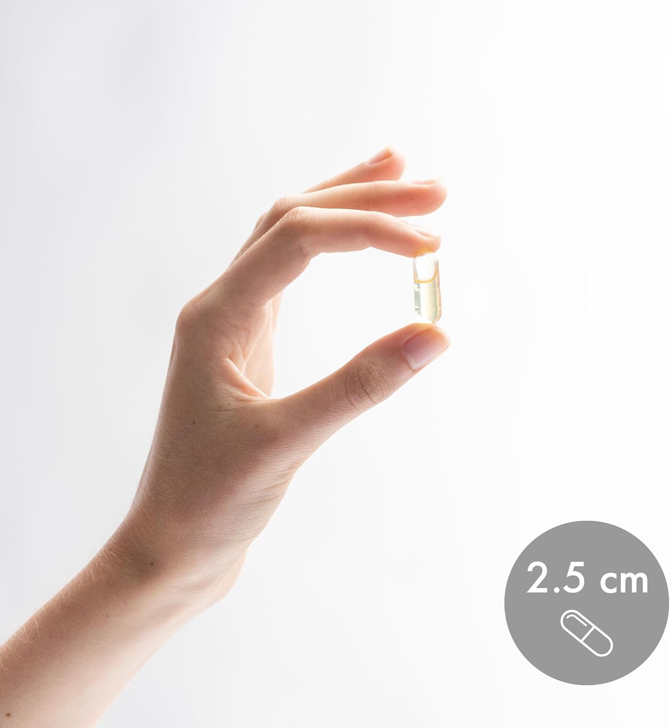 Dr. Mercola Carnitine Complex - Supports Cellular Energy & Brain Function - L-Carnitine & Acetyl-L-Carnitine Blend - Non-GMO - Gluten-Free - 60 Capsules