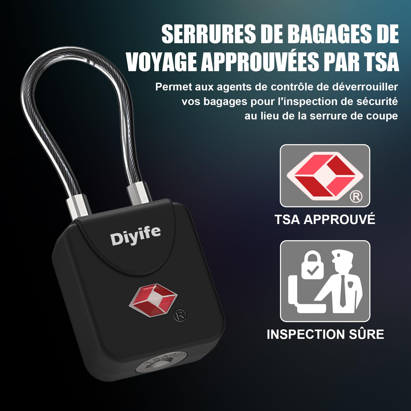 Diyife TSA Cadenas à Bagages Avec Clé 2 Pack - Serrure Voyage Sécurité 4 Clés Pour Valise Sacoche Noir