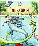 Dinosaurier im Freibad (Bd. 2) - Dominik Hochwald, Jörg Ihle Petra Fritz 