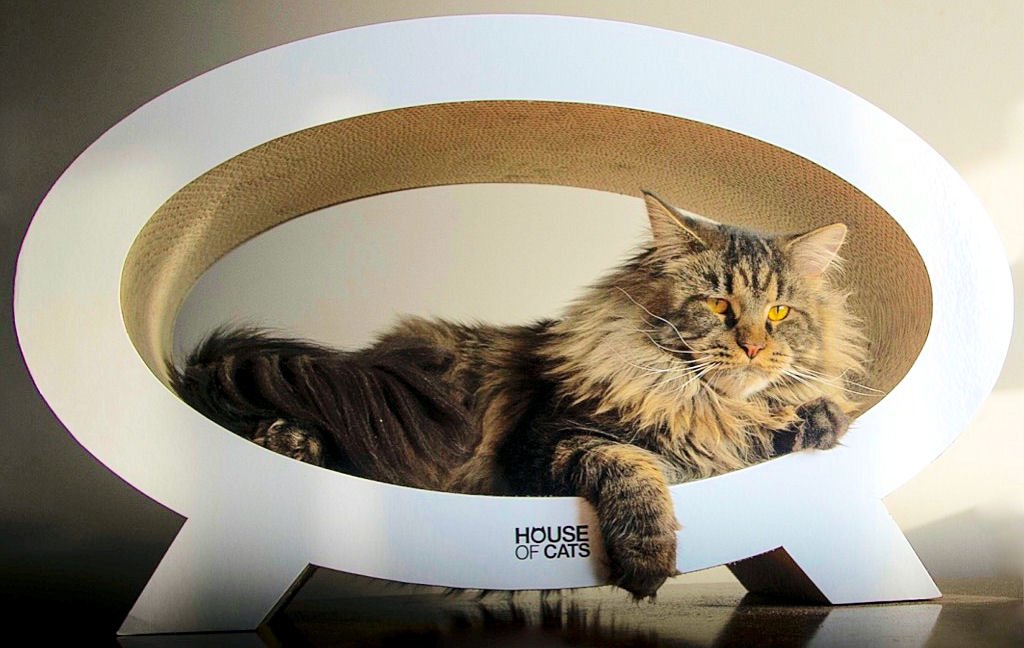 Panier griffoir Elipso pour chat, mobilier haut de gamme en carton durable