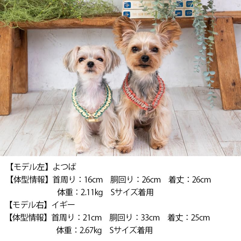 Amazon | バイカラーコードハーネス S Solgra-ソルグラ- 犬用