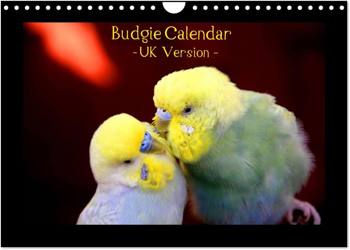 Budgie Calendar UK Version Wall Calendar 2023 DIN A4 Landscape budgie-calendar-uk-version-wall-calendar-2023-din-a4-landscape