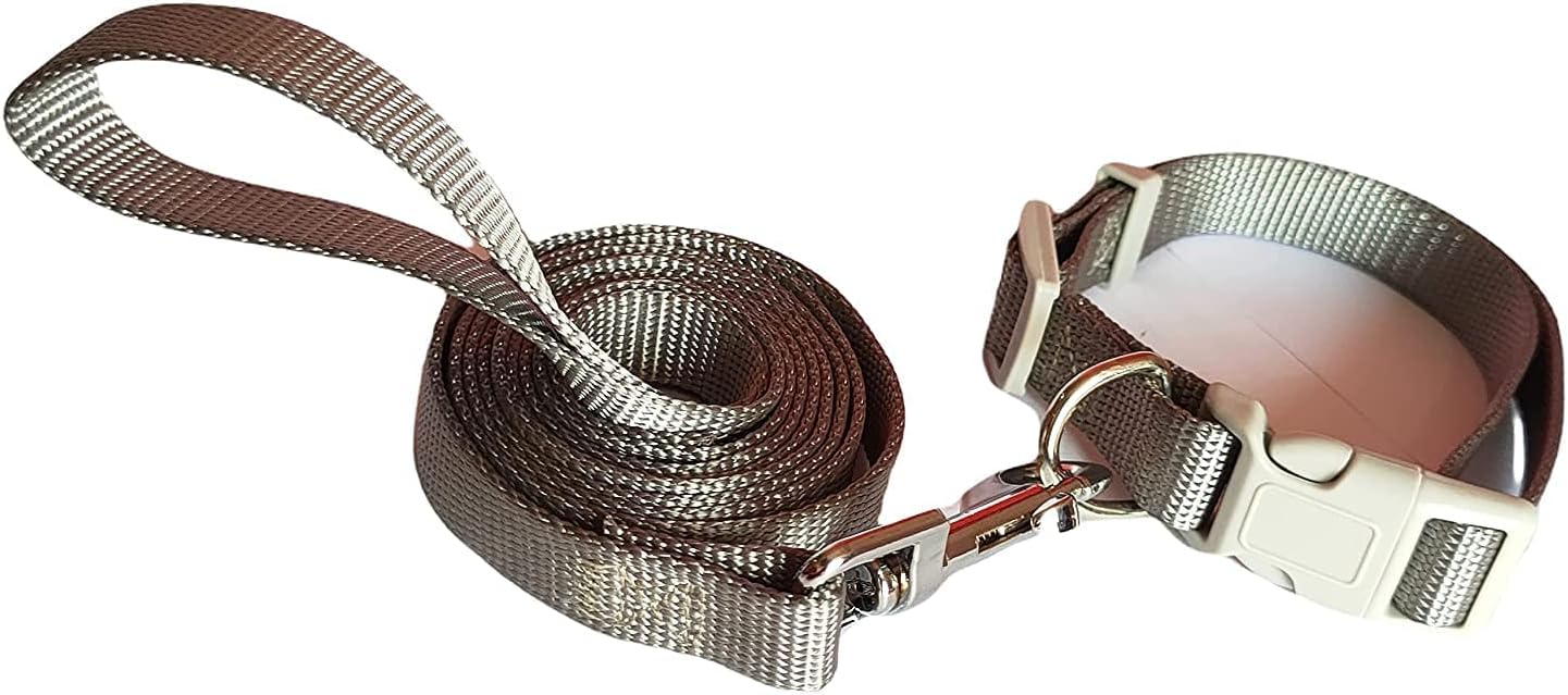 RvPaws Nylon Leash and Collar Set Suitable for Puppies of All Dog Breeds Easy to Use, Dily Use Plain Strip Dog 0.5 Inch Collar & Leash Set for Puppies 15 MM (Gray).