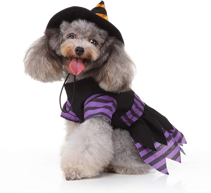 Disfraz de Bruja con Sombrero Mágico para Perro o Gato Yoption miniatura 2