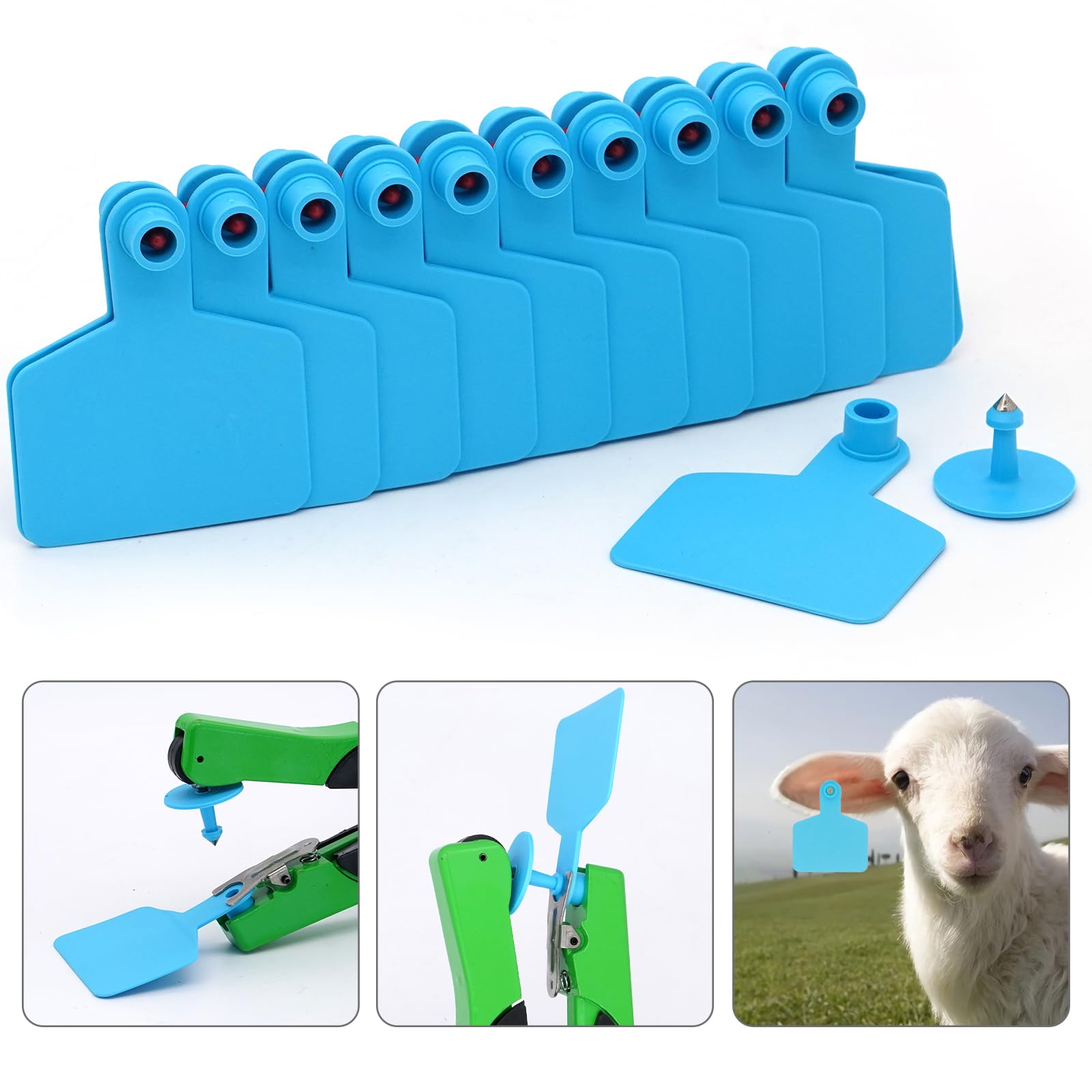 100 Pièces ÉTiquettes D'Oreilles Vierges Etiquettes D'oreille en Plastique pour Animaux Identification du Bétail Étiquettes d'oreille pour Moutons Chèvres Vaches Bovins Porcs Ferme (Bleu)
