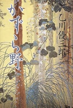 Tankobon Hardcover ???? Book