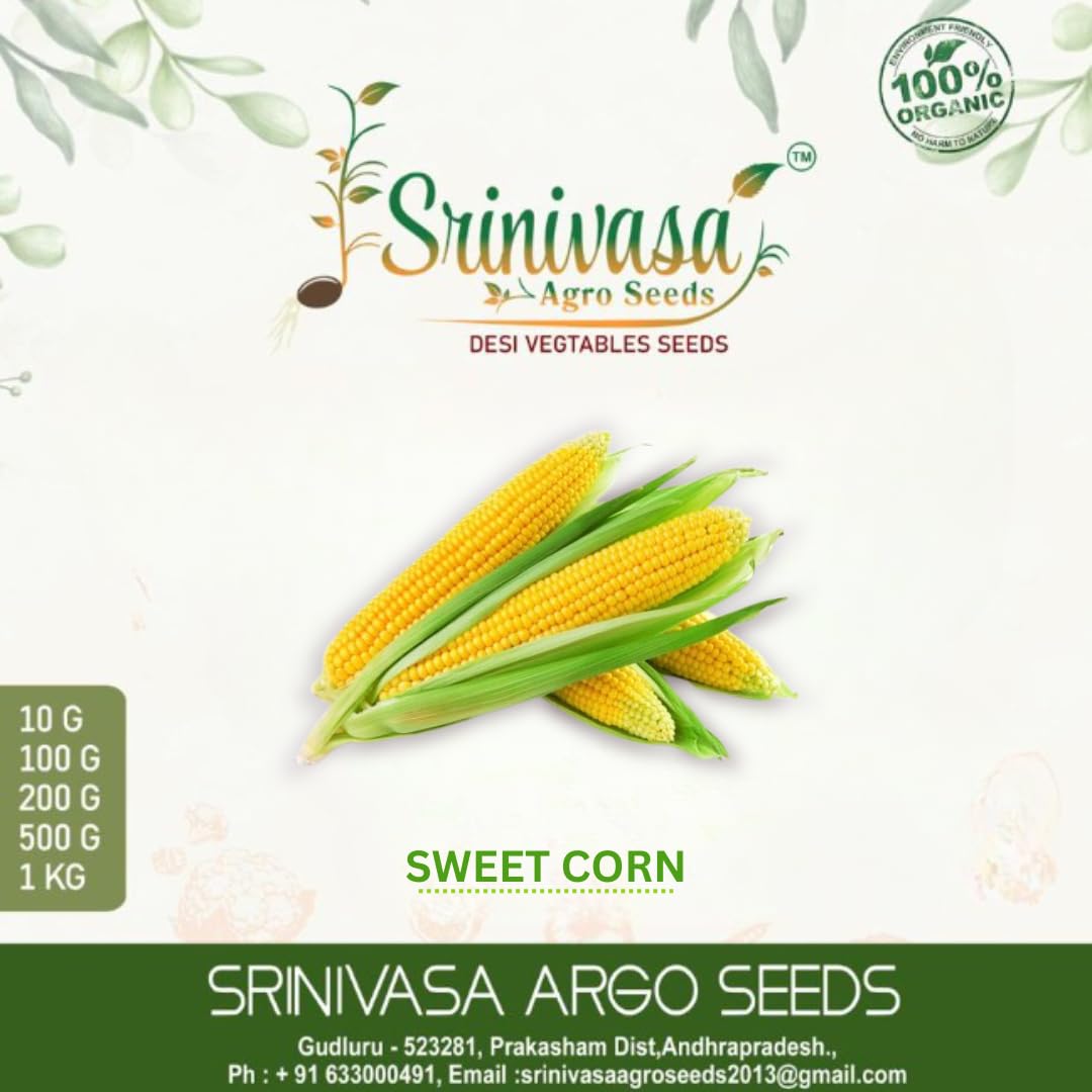 See full amazon price history chart for Srinivasa Agro Seeds Sweet Corn Seeds | Hybrid Seeds for Home & kitchen Garden (500 G) Srinivasa Agro Seeds Sweet Corn Seeds | Hybrid Seeds for Home & kitchen Garden (500 G) (B0C8MV4BZ1) Amazon Price History, Amazon Price Tracker
