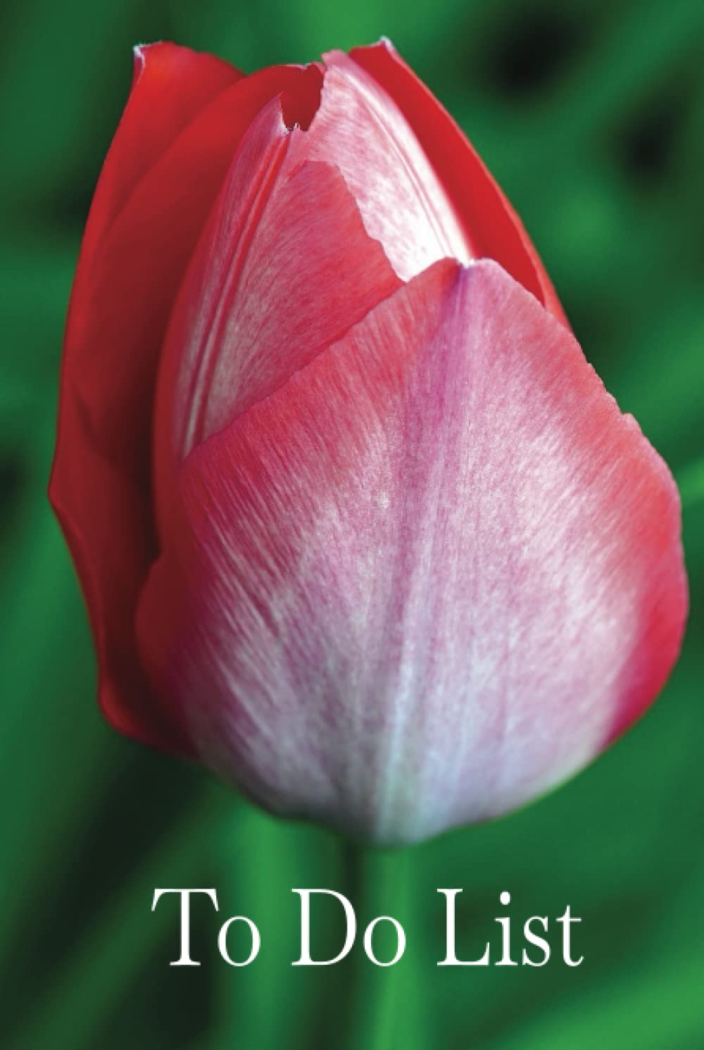 To Do List: 6 x 9 Inch Lined Daily Task List