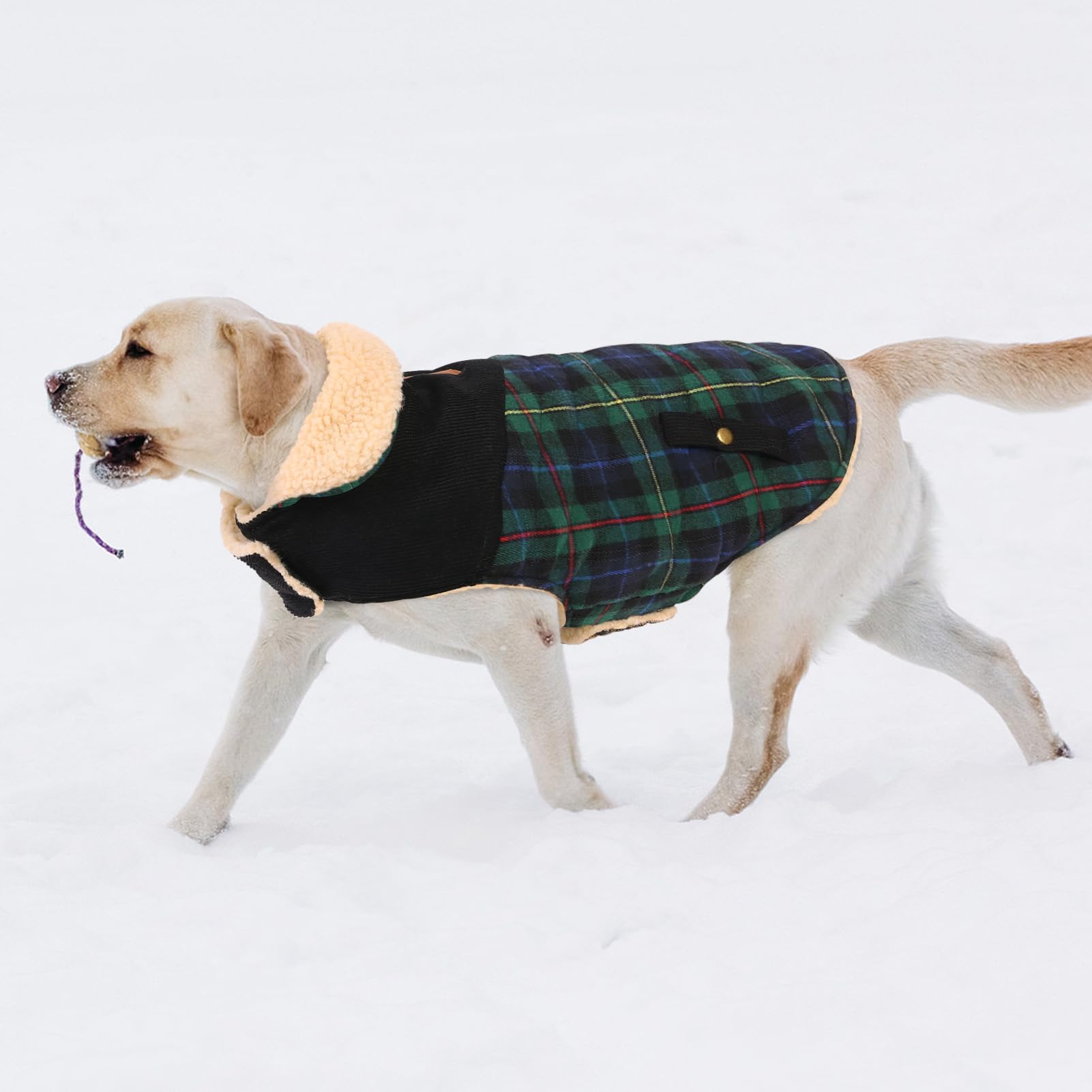 CITÉTOILE Warme Hundemantel Fleece mit Geschirrloch Grün M | Windschutz Hundejacke für Kleine/Große/Mittlere Hunde, Hundekleidung mit Bauchschutz für Outdoor & Indoor