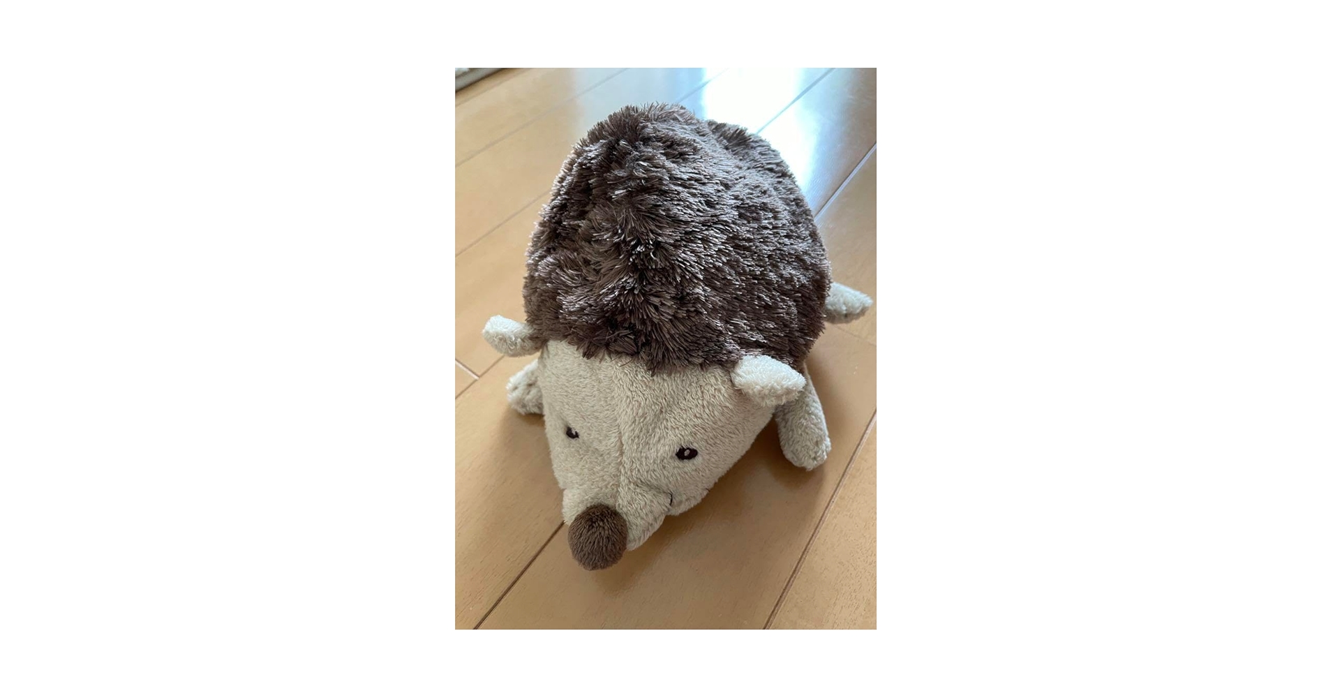 Amazon.co.jp: Sun Arrow Dimpel ハリネズミ モーリーぬいぐるみ