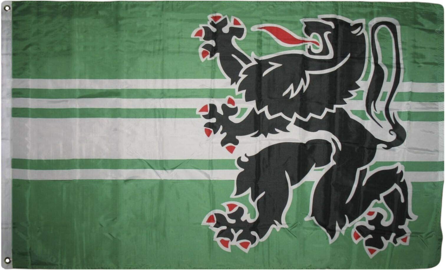 Trade Winds 3x5 East Flanders Flemish Lion Polyester Flag 3'x5' Banner Fade Resistant Fade Resistant Premium