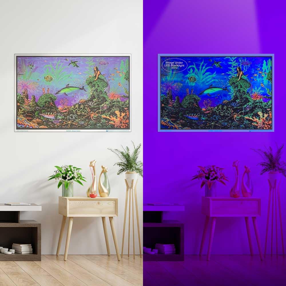 Amazon.com: Octopus Garden by Michael Fishel - Laminated