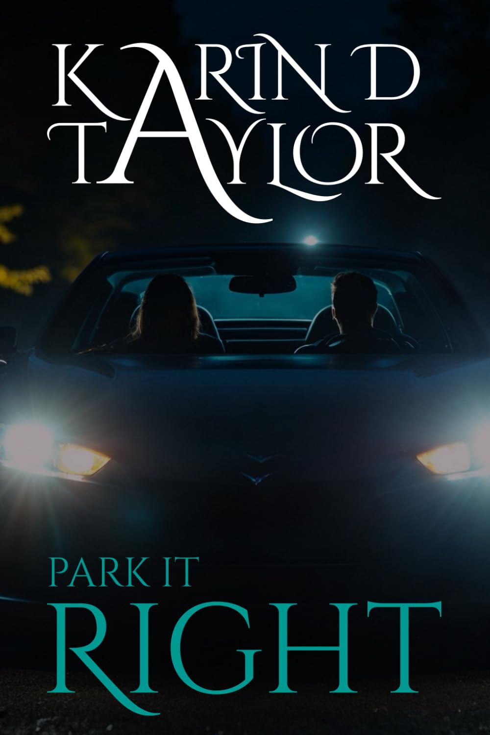 PARK IT RIGHT (Sensual Escapades Series 2)