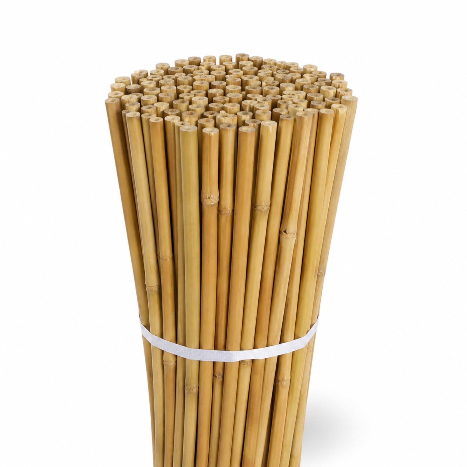 Sandal Stars Heavy Duty Thick Strong Professional Bamboo Plant Support Garden Canes 2ft x 7ft, 8mm to 16mm Thick Cheap Budget Price 10, 5ft (60cm)
