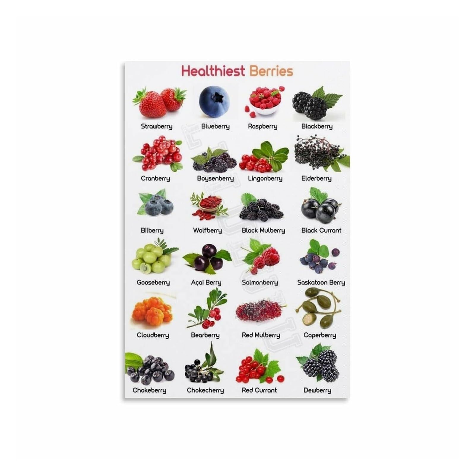 FOPURE Berry Varieties Poster, Edible Berries Chart Canvas Wall-Art Print for Kitchen Decor, Smoothie Bar, Farmers Market, Home Chef Gift(Unframed,12x18inch(30x45cm))