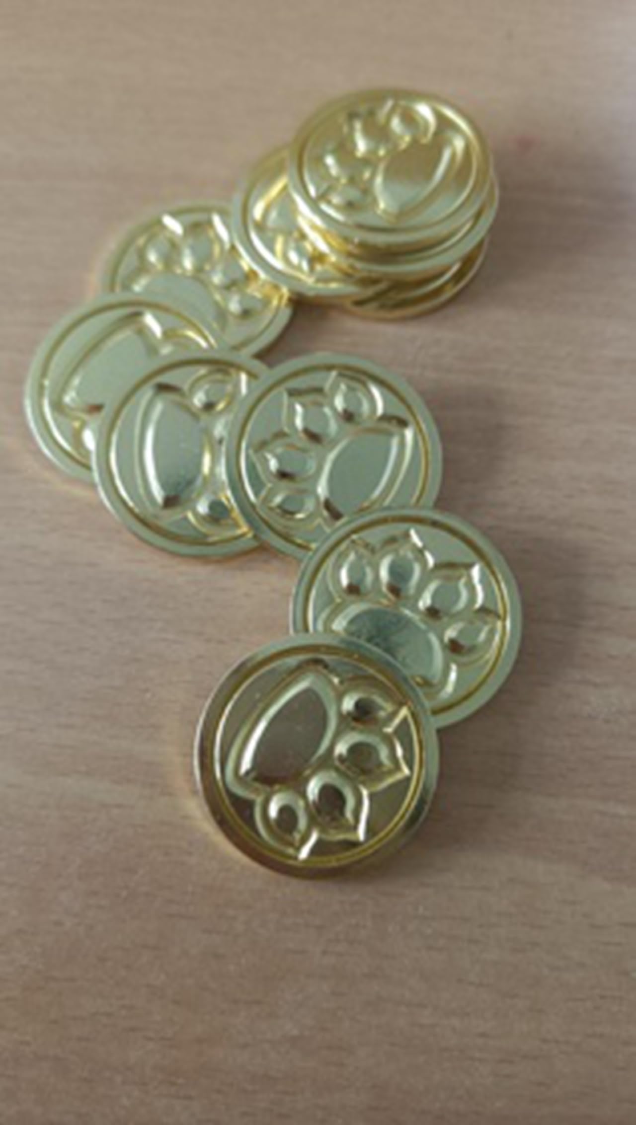 Amazon.co.jp: 崩壊3rd パルドフェリス コイン 火を追う十三英傑 シルバー ゴールド肉球コイン コスプレ道具 ハロウィン クリスマス  お正月 学園祭 10枚 (ゴールド10枚) : ホビー