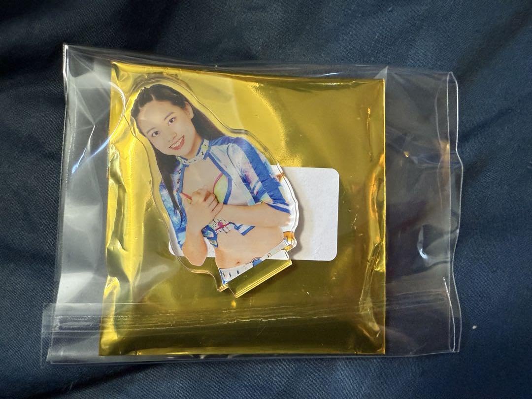 15種選手コンプリート　女子プロレス　マリーゴールド　アクスタ　アクリルスタンド 15種選手コンプリート 女子プロレス マリーゴールド アクスタ