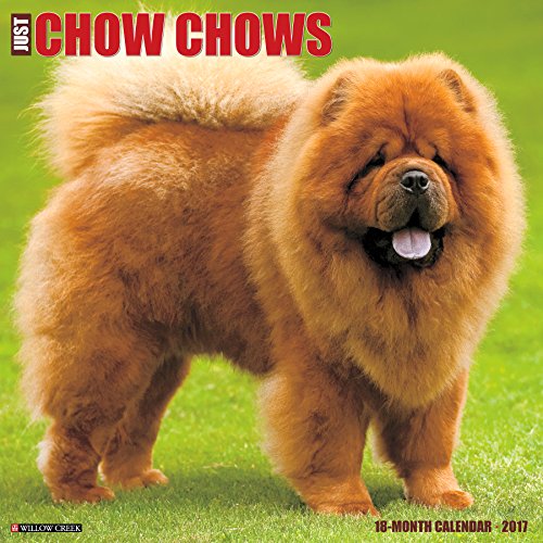 Just Chow Chows 2017 Wall Calendar (Dog Breed Calendars)