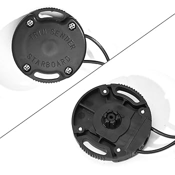 DAWN 3点　ace 296802.jpg?v=1