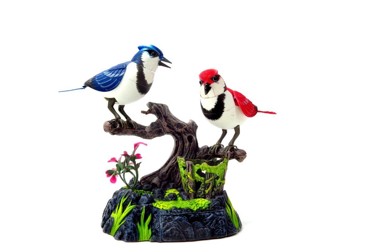 Amazon.com: Az Import & Trading BC513AB Singing & Chirping Birds