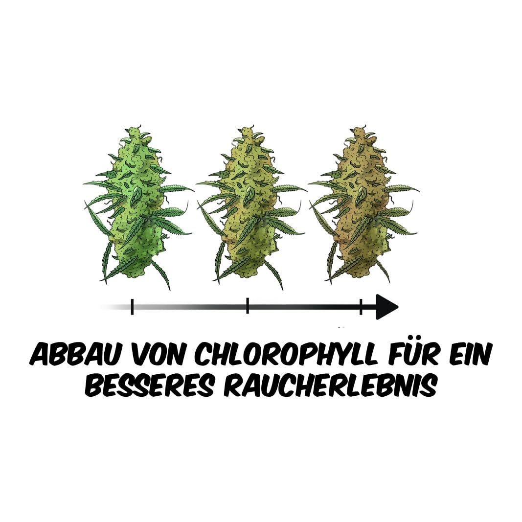 FermentBox® – Komplettset zur Trocknung, Curing & Fermentation mit Aktivkohlefilter für Blüten – Optimale Luftzirkulation & Feuchtigkeitsregulierung – 100% Kiefernholz – 200g Kapazität, geruchsfrei