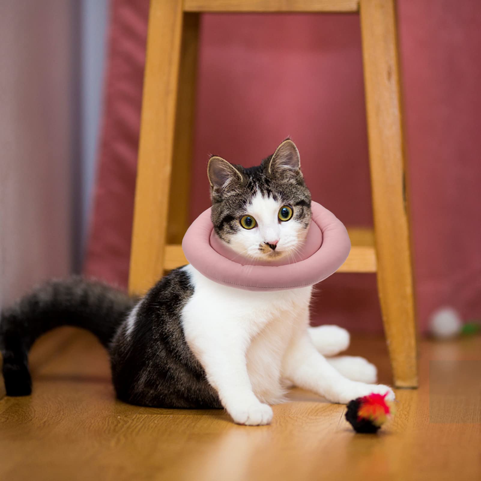 POPETPOP 3pezzi Collare Protettivo Per Gatti Collare Elisabettiano Per Antileccamento e Protezione Ferite Facile Da Indossare e Rimuovere Adatto Per Bagno e Toelettatura Per Gattini e Cani