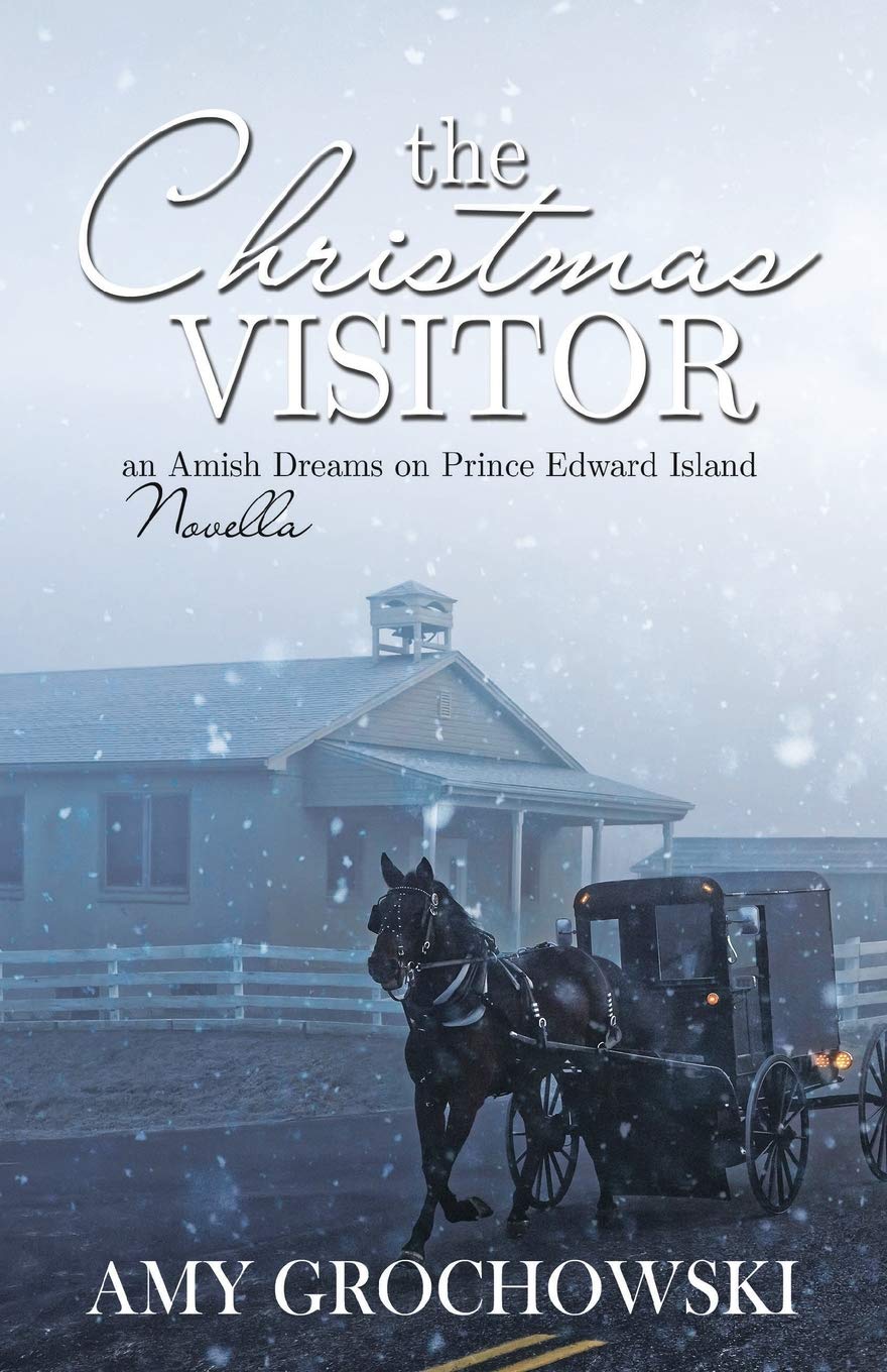 The Christmas Visitor: An Amish Dreams on Prince Edward Island Novella: 2