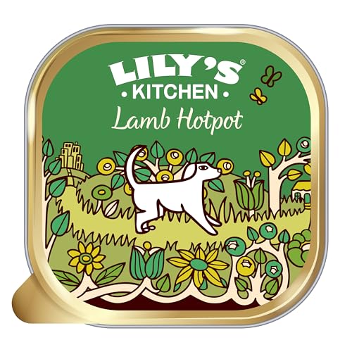 Lily's Kitchen Cibo umido per cani - agnello con zucca - Ricetta senza cereali, carne fresca preparata, con ingredienti naturali (150g x 10), adatto per cani adult