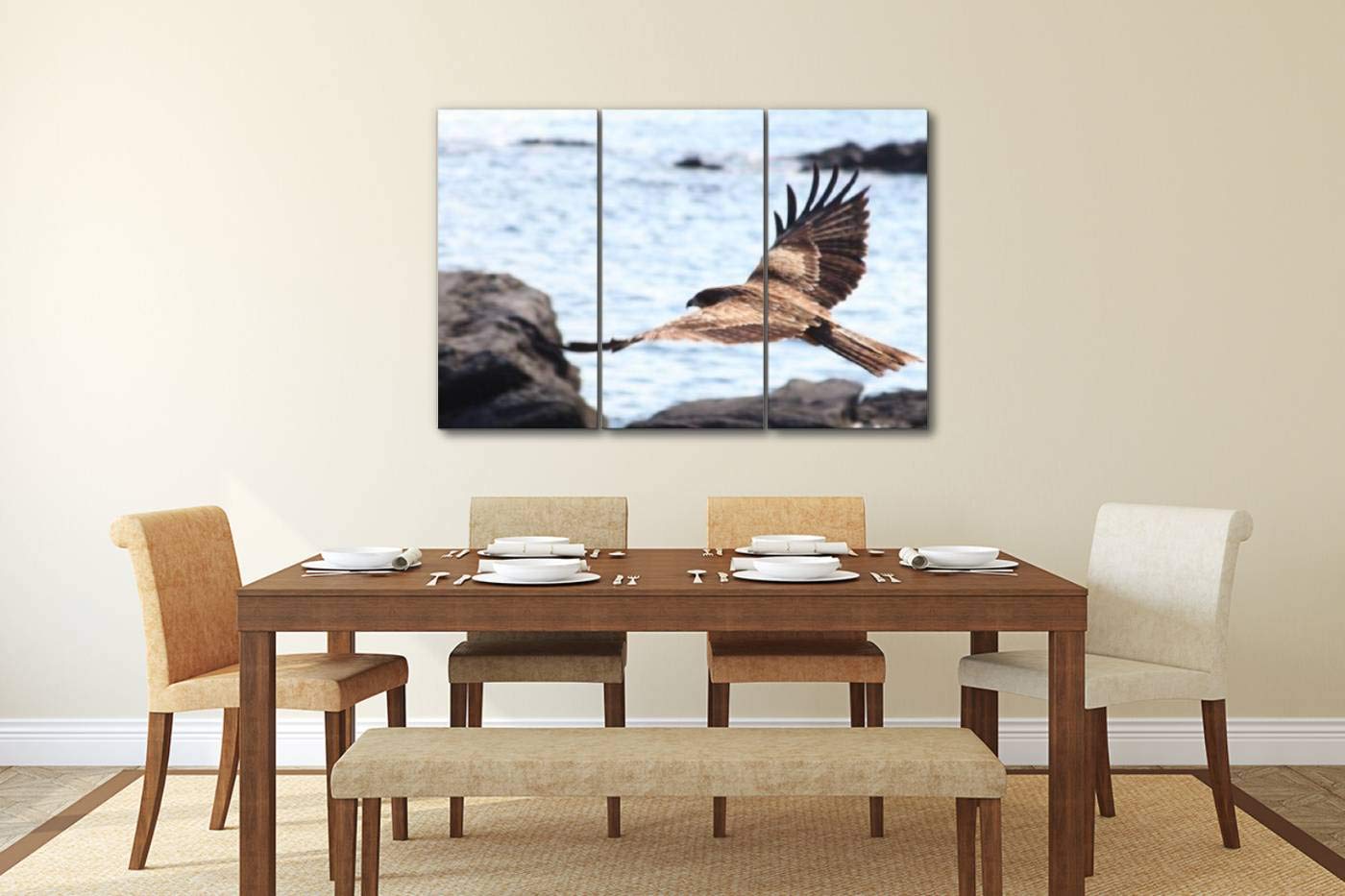 Amazon｜トンビ 鳥 バード 生き物 生物 トビ 猛禽類 羽 飛行 滑空 飛ぶ