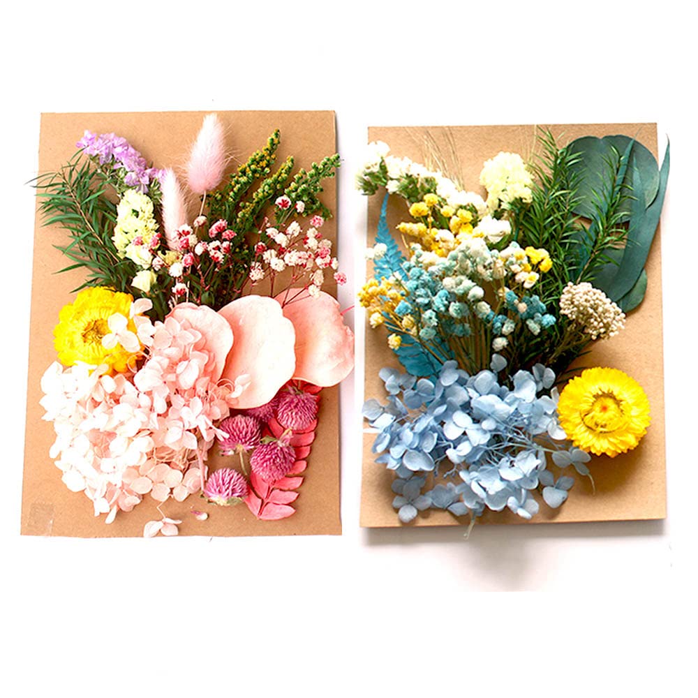 Fiori Secchi Pressati Per Fai Da Te | Per Resina, Candele E Decorazioni - Foto 9