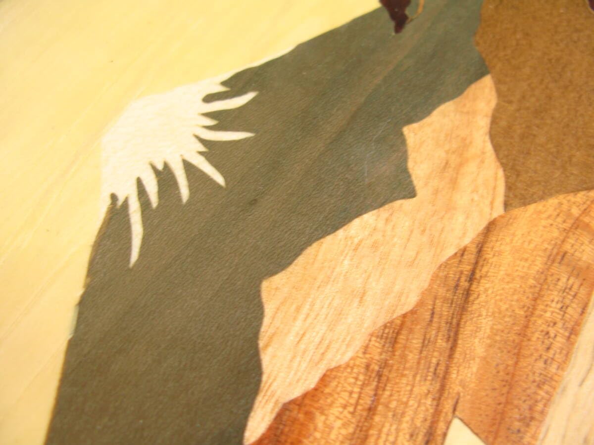 Amazon.co.jp: 箱根寄木細工富士山象嵌細工絵画額入りサイズ約24