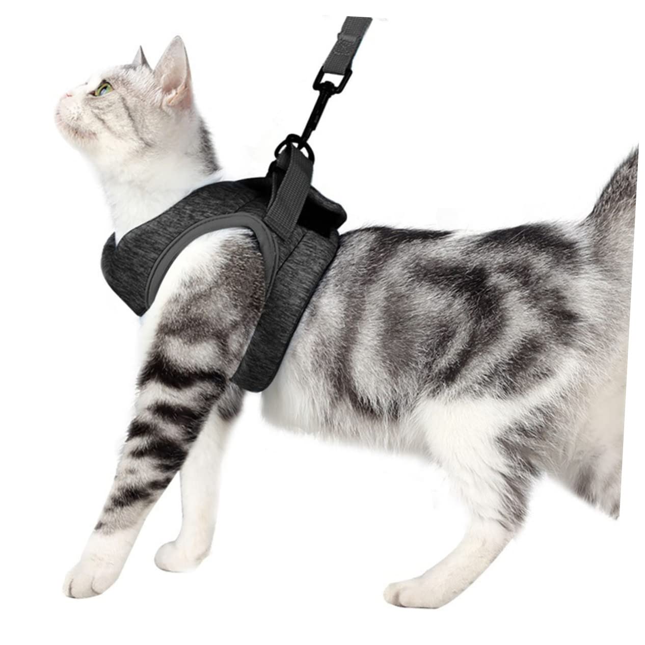 Kisangel 3piezas Arnés para Gatos Ligeros y Cómodos Correa De Pecho Diseño Transpirable para Paseos Seguros s