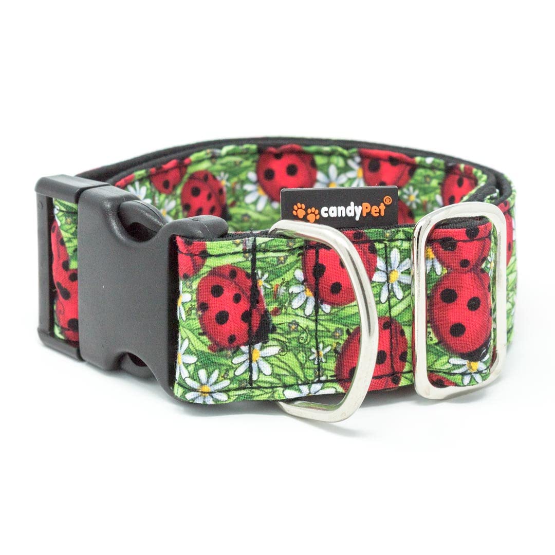 candyPetClick collar for dogs