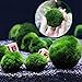USRUTIUD 3 Live Green Algae Balls for Aquariums - Decorated Green Algae Balls to Enhance Aquarium Aesthetics 1.3 