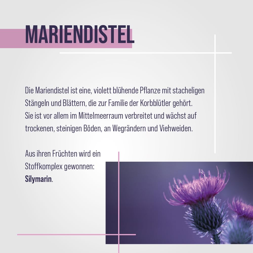 Sanct Bernhard Mariendistel-Kapseln mit 200 mg Mariendistel-Trockenextrakt, mit Cholin & Zink - 90 Kapseln für 3 Monate