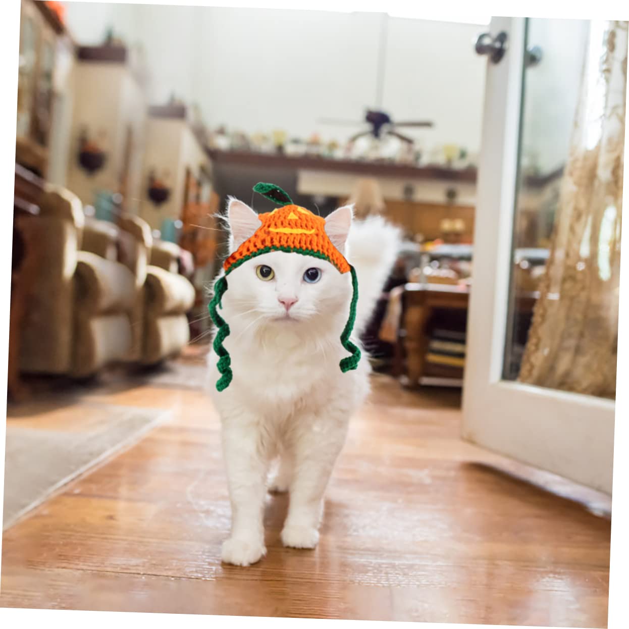 3 Pz cappello di zucca berretto di zucca costume da compagnia cappello da cane costume da cane accessorio autunnale abbigliamento per animali domestici filato