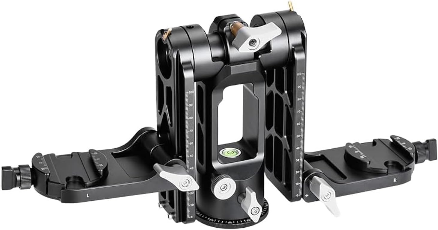 Dual-Camera Setup on a Gimbal