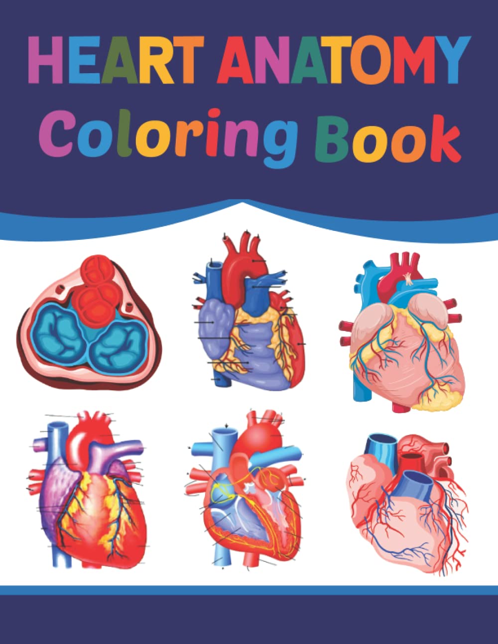 Buy Heart Anatomy Coloring Book A Great Human Heart Anatomy Coloring