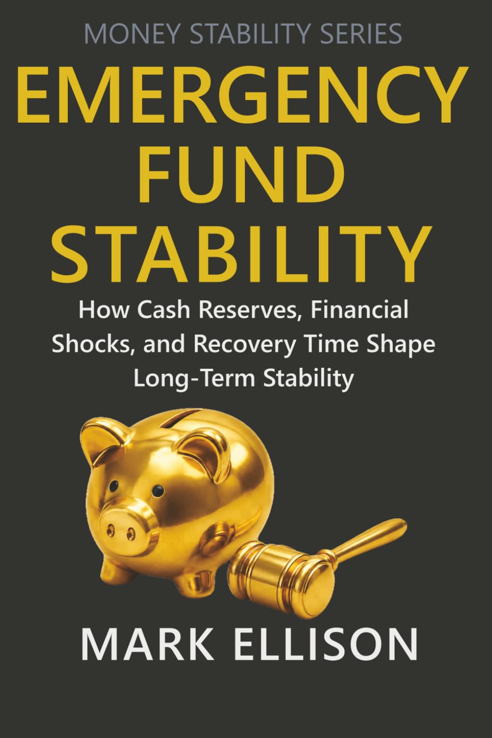 Emergency Fund Stability: How Cash Reserves, Financial Shocks, and Recovery Time Shape Long-Term Stability (Money Stability Series)