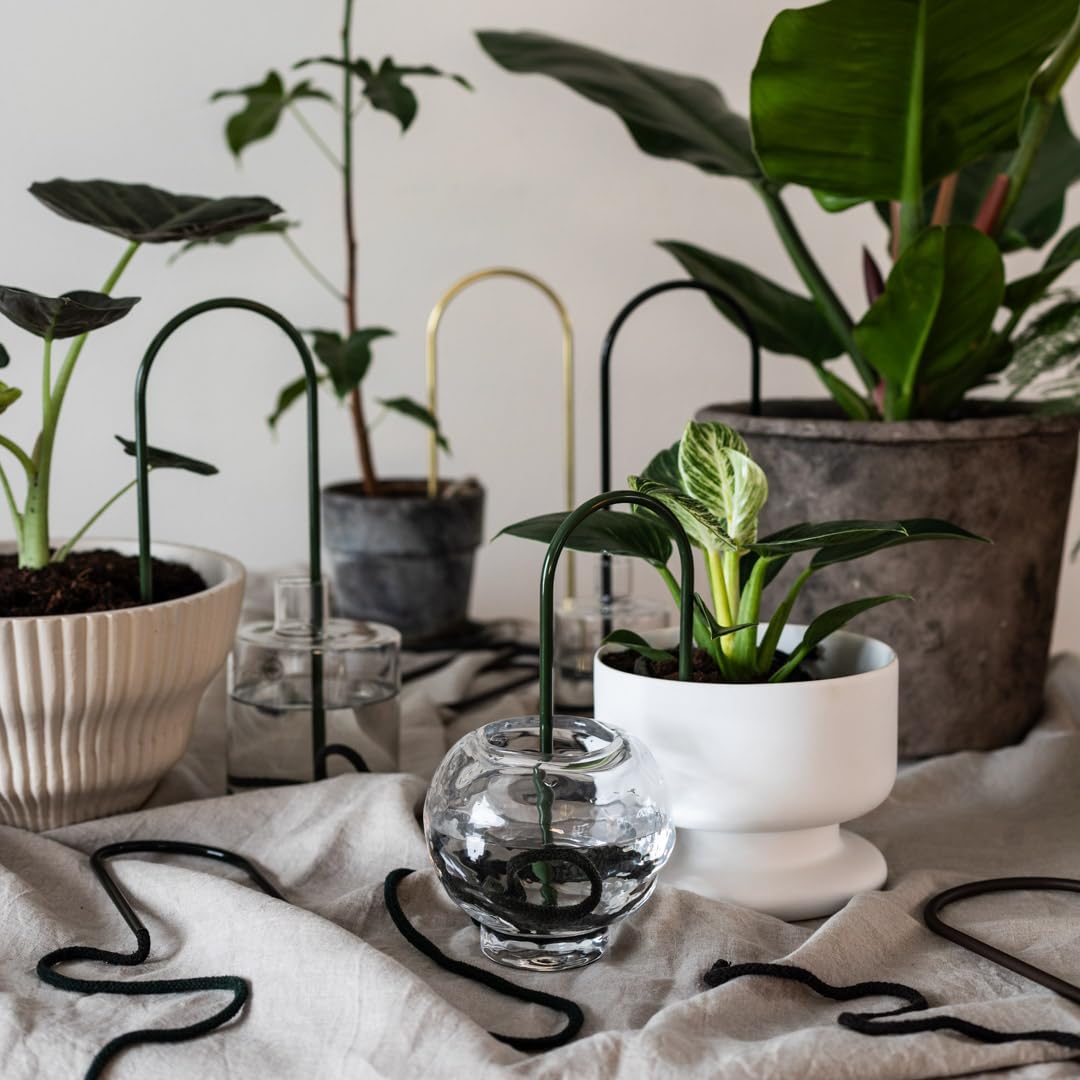 Bellissimo sistema di stoppino autoirrigante per la cura delle piante senza sforzo, irrigazione a goccia automatica, design scandinavo sostenibile ed elegante, ideale per piante da