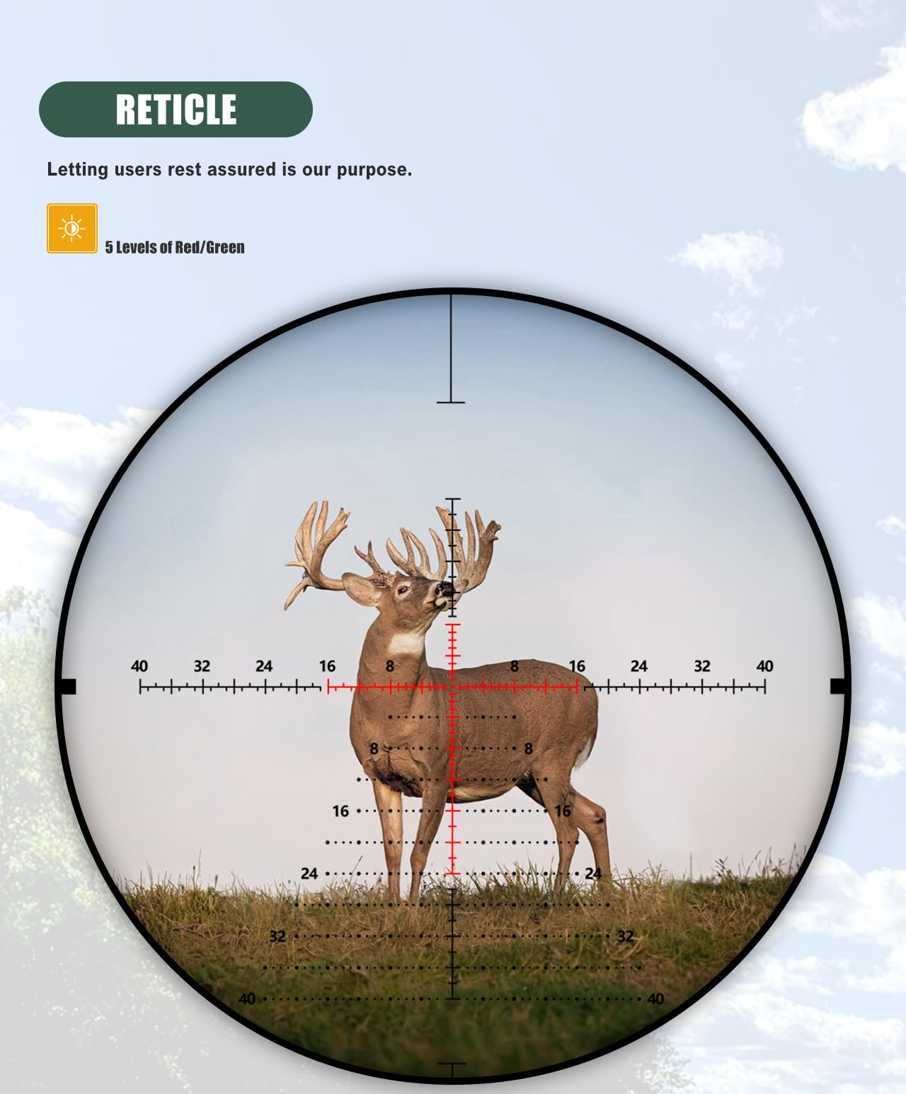 SPINA OPTICS Lunette de Visée 1.2-6x24 IR avec Reticule Lumineux, Lunettes de Tir Premier Plan Focal Applicable à la Chasse/Airsoft