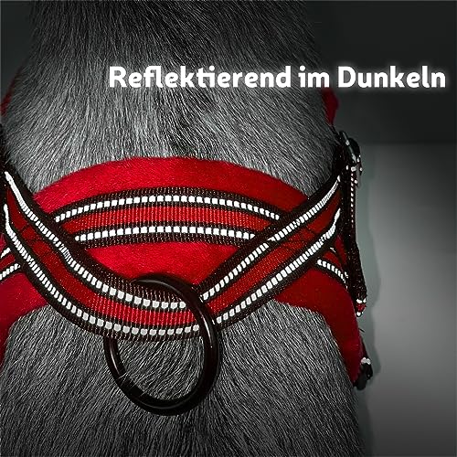 SlowTon Hundegeschirr mit Leine, Anti-Zug Geschirr, Verstellbare Reflektierend Welpengeschirr Brustgeschirr Sicherheitsgeschirr Anti-Erstickung Brustgeschirr für Kleine, Mittelgroße Hunde & Welpen