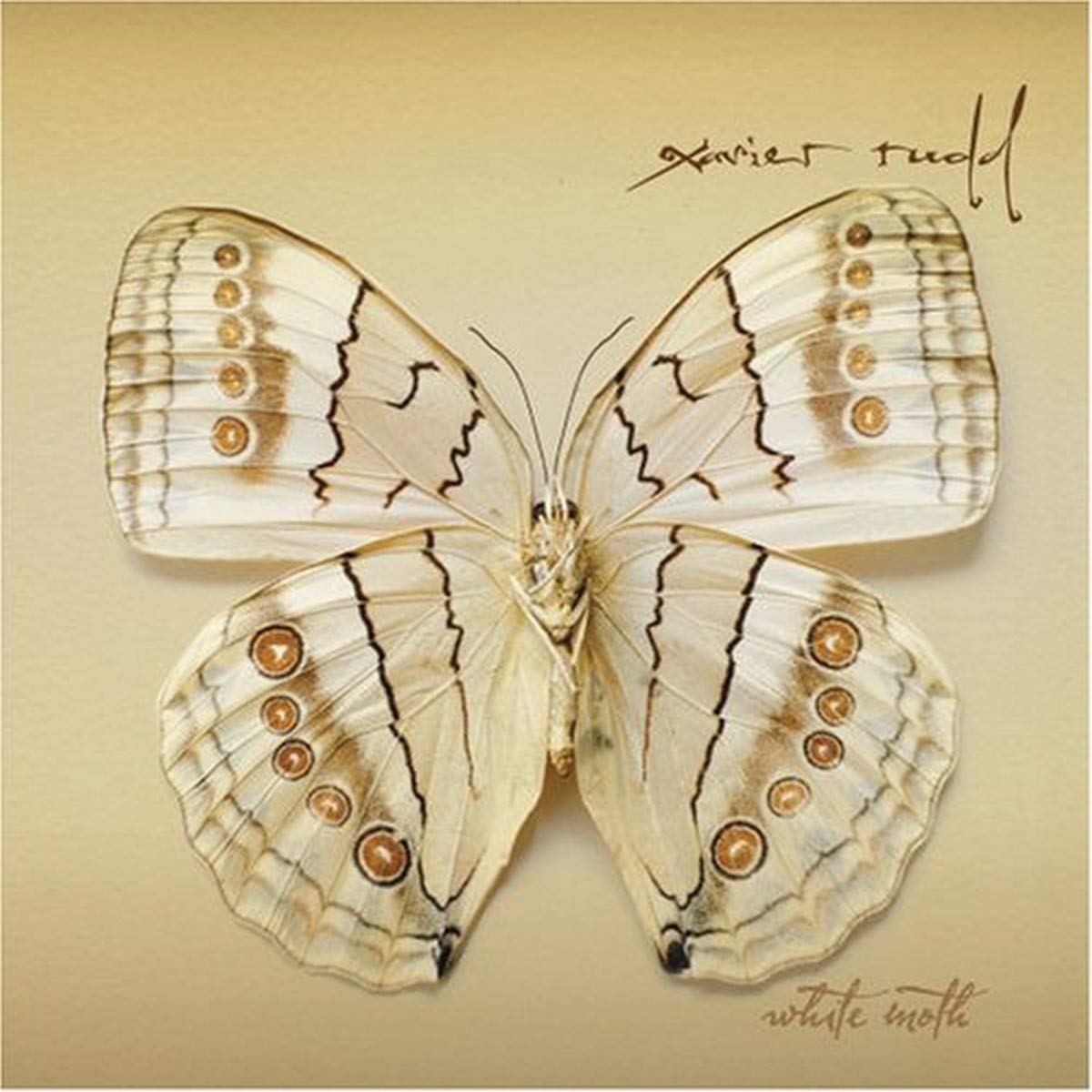 RUDD;XAVIER - WHITE MOTH [Audio CD] RUDD;XAVIER