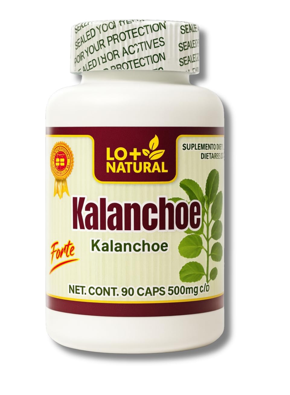 Capsules De Kalanchoe Pinnata 100% Naturelles Bio - Complément Alimentaire, Support Immunitaire, 25 à 1000 Capsules